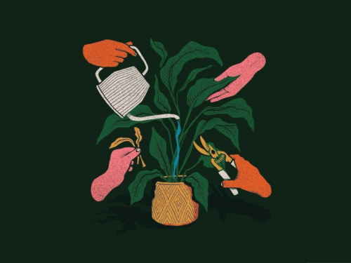 An illustration of a plant being watered with a watering can with 4 hands pruning the plant